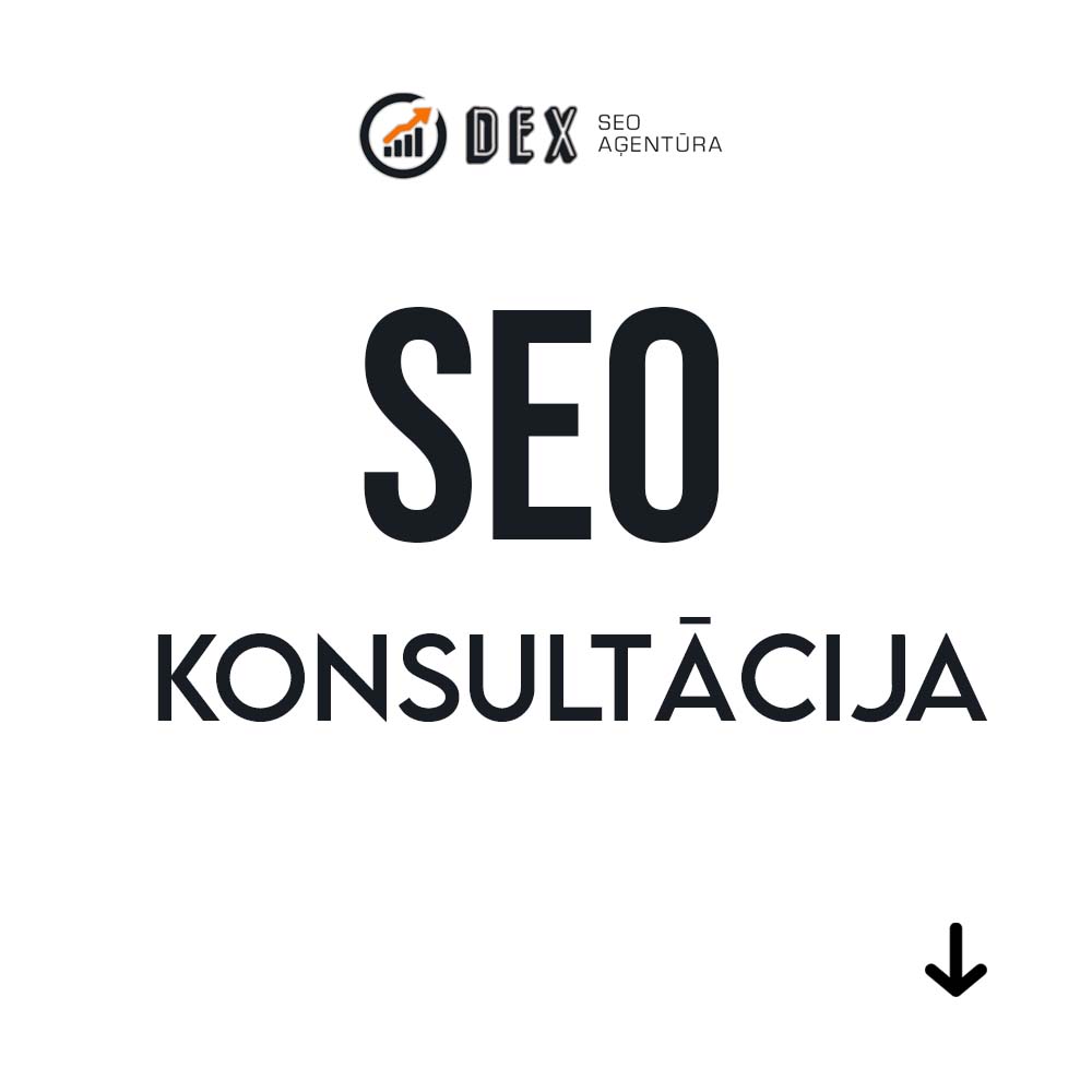 SEO konsultācija